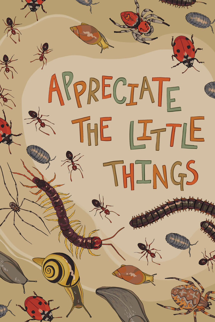 Appreciate the Little Things