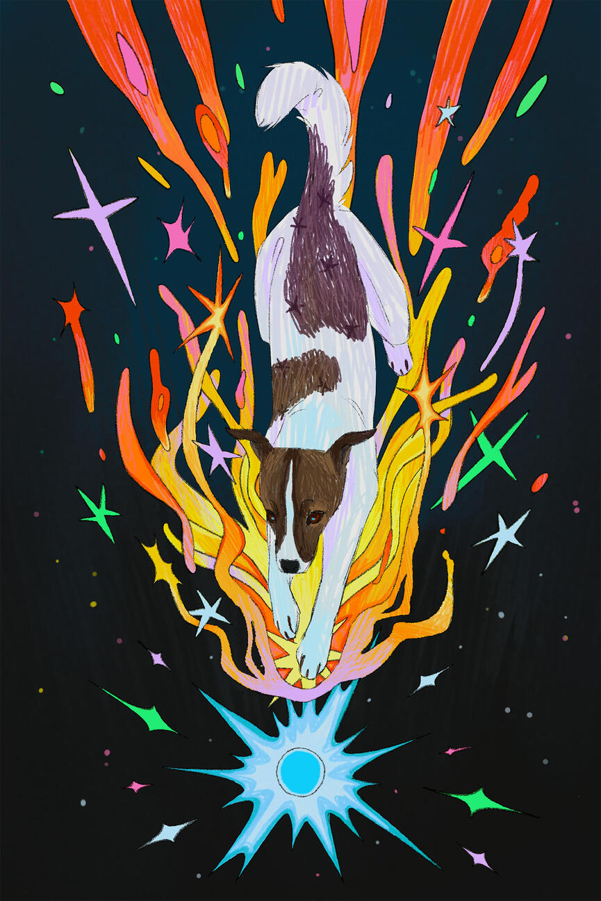 Comet Laika
